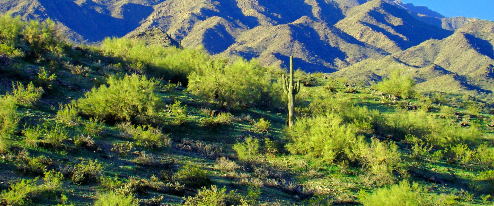 Exploring the Natural Wonders of Maricopa County, AZ