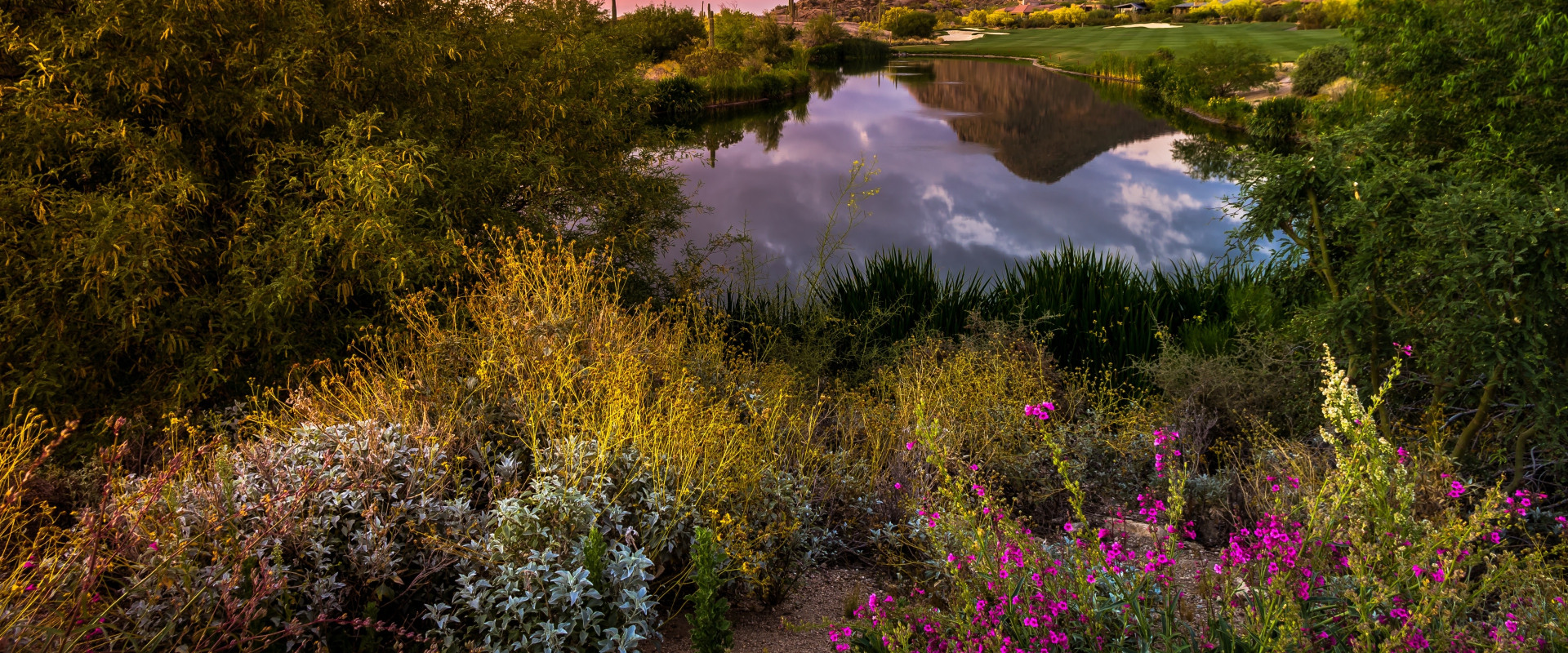 The Perfect Time to Visit Maricopa County, AZ