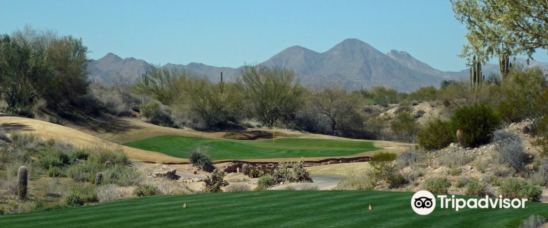 Exploring the Best Golf Courses in Maricopa County, AZ