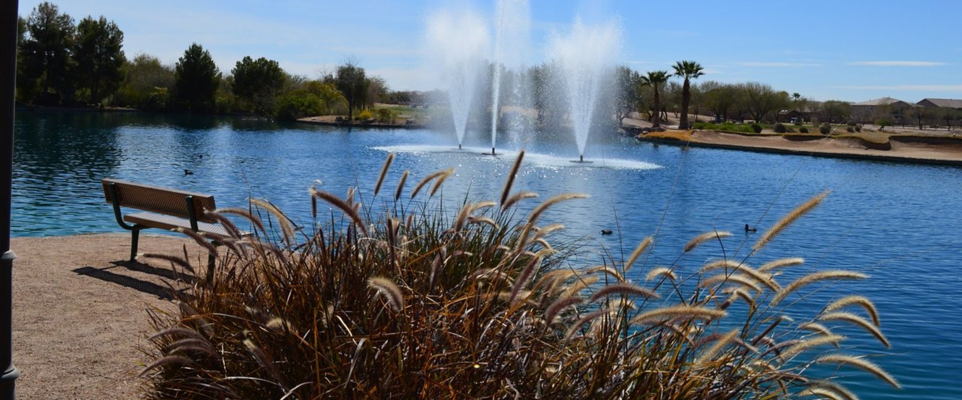 Exploring the Outdoors in Maricopa County, AZ