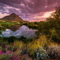 Explore the Best Tourist Attractions in Maricopa County, AZ
