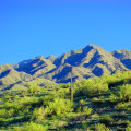 Exploring the Natural Wonders of Maricopa County, AZ