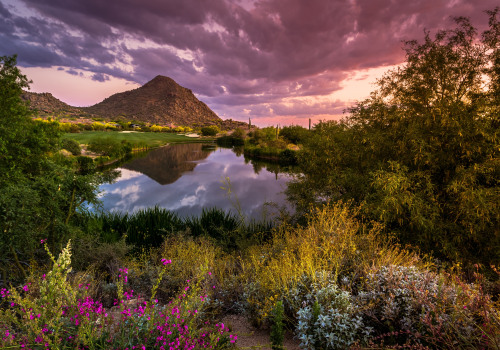 Explore the Best Tourist Attractions in Maricopa County, AZ