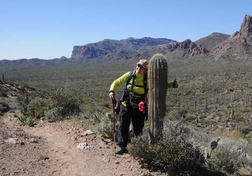 Exploring the Best Hiking Trails in Maricopa County, Arizona