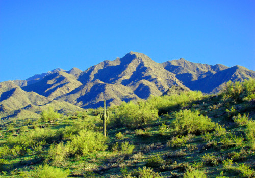 Exploring the Natural Wonders of Maricopa County, AZ